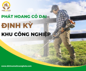 Dịch vụ phát hoang cỏ dại định kỳ khu công nghiệp Dịch vụ phát hoang cỏ dại định kỳ khu công nghiệp