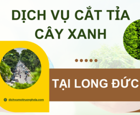 Dịch vụ cắt tỉa cây xanh tại Long Đức, Tỉnh Đồng Nai Dịch vụ cắt tỉa cây xanh tại Long Đức, Tỉnh Đồng Nai