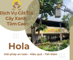 Dịch Vụ Cắt Tỉa Cây Xanh Tầm Cao Tại Biên Hòa Dịch Vụ Cắt Tỉa Cây Xanh Tầm Cao Tại Biên Hòa