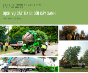 Di dời cây xanh Di dời cây xanh