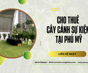 Dịch vụ cho thuê cây cảnh sự kiện Phú Mỹ tiện lợi, giá tốt Dịch vụ cho thuê cây cảnh sự kiện Phú Mỹ tiện lợi, giá tốt