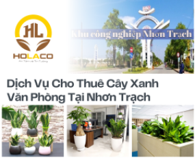 Dịch Vụ Cho Thuê Cây Xanh Văn Phòng Tại Nhơn Trạch Dịch Vụ Cho Thuê Cây Xanh Văn Phòng Tại Nhơn Trạch