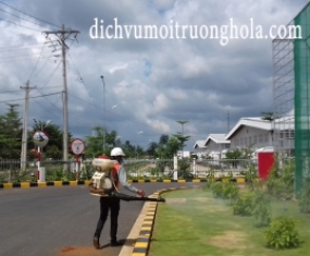 Dịch vụ phun diệt côn trùng Đồng Nai