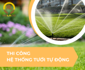 Dịch vụ thi công Hệ thống tưới tự động  sân vườn Hola