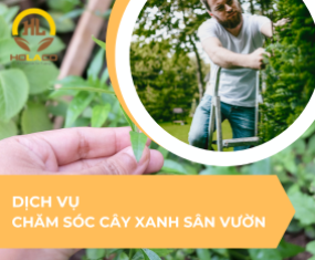 Dịch vụ chăm sóc cây xanh sân vườn uy tín chất lượng Dịch vụ chăm sóc cây xanh sân vườn uy tín chất lượng