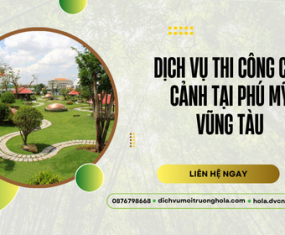 Dịch vụ thi công cây cảnh tại Phú Mỹ Vũng Tàu – Tạo mảng xanh bền vững Dịch vụ thi công cây cảnh tại Phú Mỹ Vũng Tàu – Tạo mảng xanh bền vững