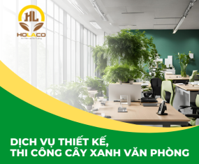 Dịch Vụ Thiết Kế, Thi Công Cây Xanh Văn Phòng tại Đồng Nai Dịch Vụ Thiết Kế, Thi Công Cây Xanh Văn Phòng tại Đồng Nai