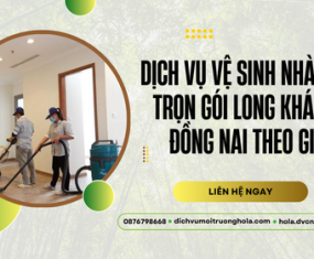 Dịch vụ vệ sinh nhà cửa trọn gói Long Khánh, Đồng Nai theo giờ Dịch vụ vệ sinh nhà cửa trọn gói Long Khánh, Đồng Nai theo giờ