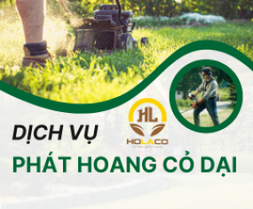 Dịch vụ phát hoang cỏ dại Dịch vụ phát hoang cỏ dại