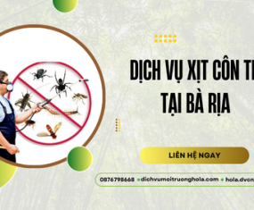 Dịch vụ xịt côn trùng tại Bà Rịa hiệu quả, an toàn