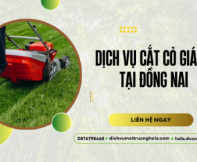 Dịch vụ cắt cỏ tại Đồng Nai giá rẻ, chuyên nghiệp