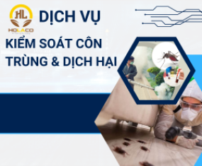 Dịch vụ kiểm soát côn trùng và dịch hại