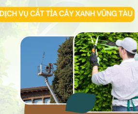 Dịch vụ cắt tỉa cây xanh tại Vũng Tàu Dịch vụ cắt tỉa cây xanh tại Vũng Tàu