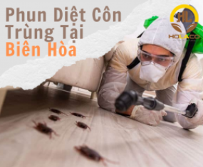 Phun Diệt Côn Trùng Tại Biên Hòa