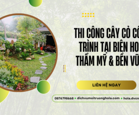 Thi công cây cỏ công trình tại Biên Hoà – Thẩm mỹ & bền vững Thi công cây cỏ công trình tại Biên Hoà – Thẩm mỹ & bền vững
