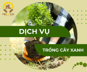 Dịch vụ trồng cây xanh công trình, sân vườn, tận nơi giá tốt Dịch vụ trồng cây xanh công trình, sân vườn, tận nơi giá tốt