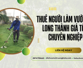 Thuê người làm vườn Long Thành giá tốt, chuyên nghiệp Thuê người làm vườn Long Thành giá tốt, chuyên nghiệp