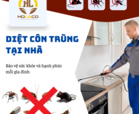 Phun Diệt Côn Trùng Tại Nhà