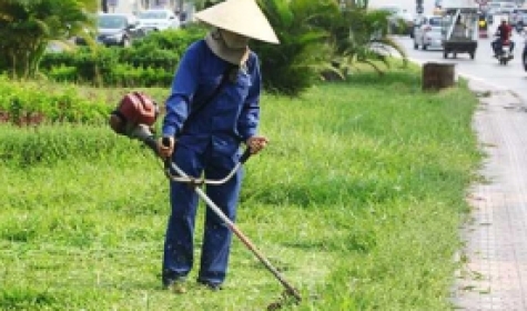 Dịch vụ cắt cỏ và phát hoang cỏ dại