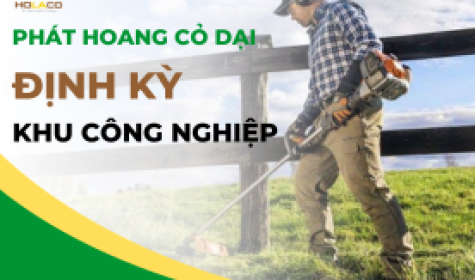 Dịch vụ phát hoang cỏ dại định kỳ khu công nghiệp