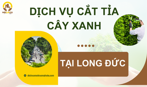 Dịch vụ cắt tỉa cây xanh tại Long Đức, Tỉnh Đồng Nai