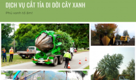 Di dời cây xanh