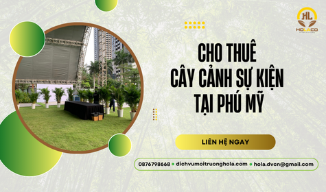 Dịch vụ cho thuê cây cảnh sự kiện Phú Mỹ tiện lợi, giá tốt