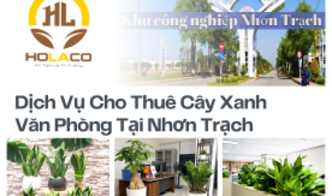 Dịch Vụ Cho Thuê Cây Xanh Văn Phòng Tại Nhơn Trạch