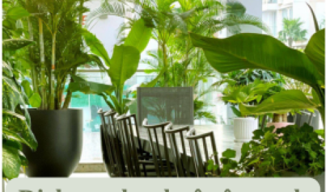 	Dịch Vụ Cho Thuê Cây Xanh Đồng Nai