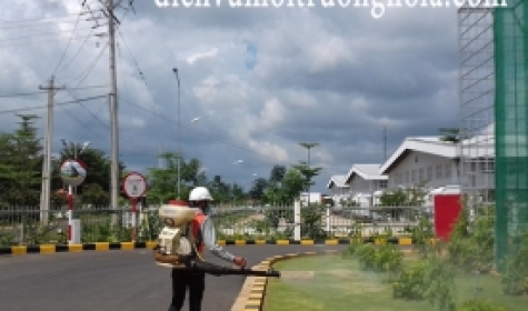 Dịch vụ phun diệt côn trùng Đồng Nai