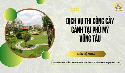 Dịch vụ thi công cây cảnh tại Phú Mỹ Vũng Tàu – Tạo mảng xanh bền vững
