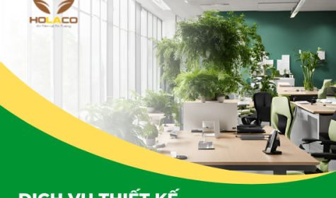 Dịch Vụ Thiết Kế, Thi Công Cây Xanh Văn Phòng tại Đồng Nai