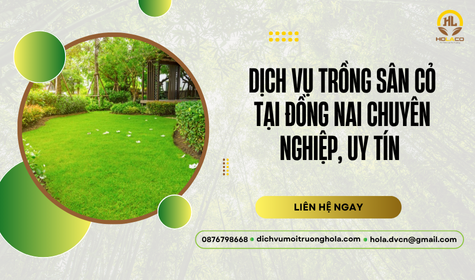 Dịch vụ trồng sân cỏ tại Đồng Nai – Chuyên nghiệp, bảo hành dài lâu