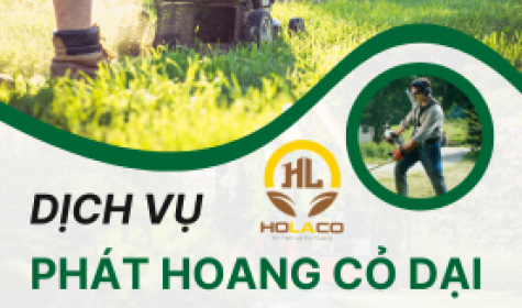 Dịch vụ phát hoang cỏ dại