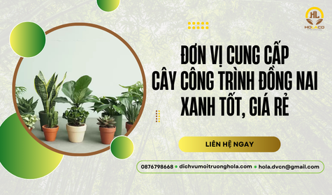 Đơn vị cung cấp cây công trình Đồng Nai xanh tốt, giá rẻ