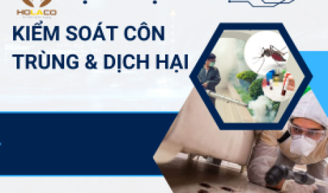 Dịch vụ kiểm soát côn trùng và dịch hại