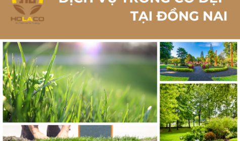 Dịch vụ trồng cỏ Chuyên nghiệp tại Đồng Nai