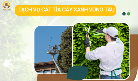 Dịch vụ cắt tỉa cây xanh tại Vũng Tàu