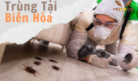 Phun Diệt Côn Trùng Tại Biên Hòa