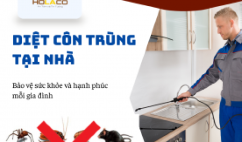 Phun Diệt Côn Trùng Tại Nhà